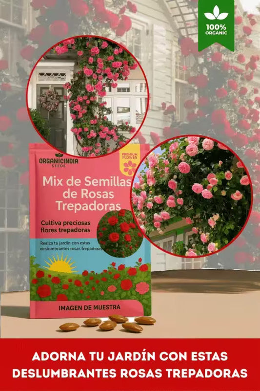 Organicida®- Semillas Mixtas de Rosas Trepadoras X 100 Semillas